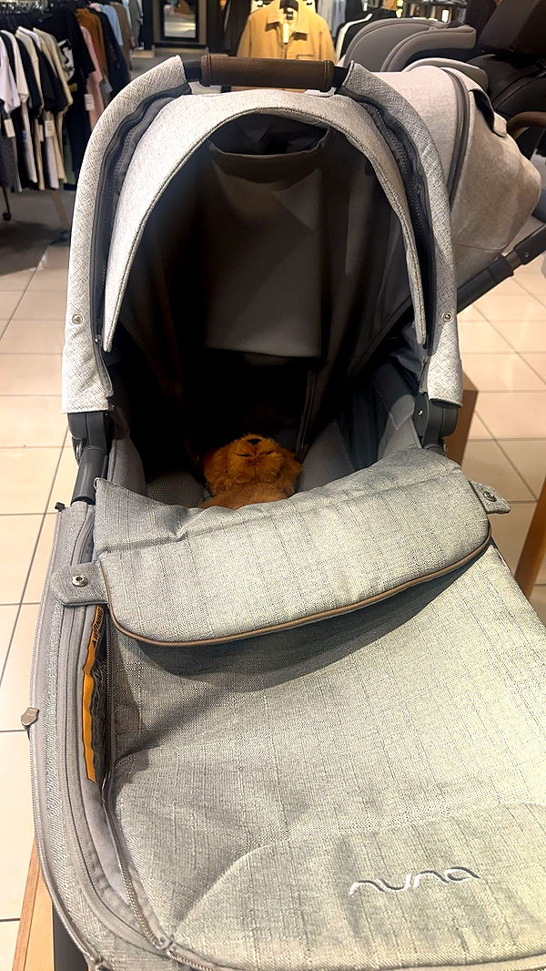 miahuffmann image ~ Altpins