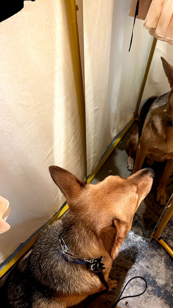 miahuffmann image ~ Altpins