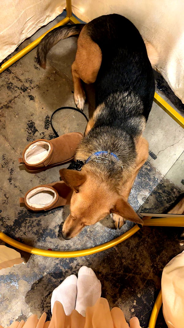 miahuffmann image ~ Altpins