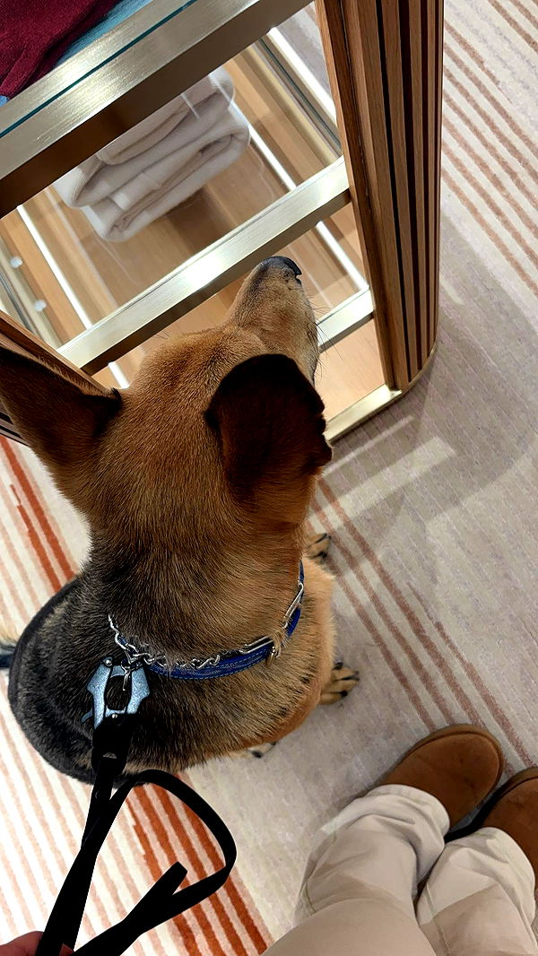 miahuffmann image ~ Altpins