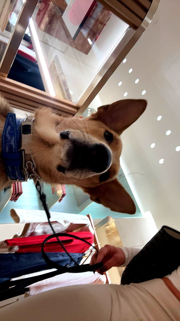 miahuffmann image ~ Altpins