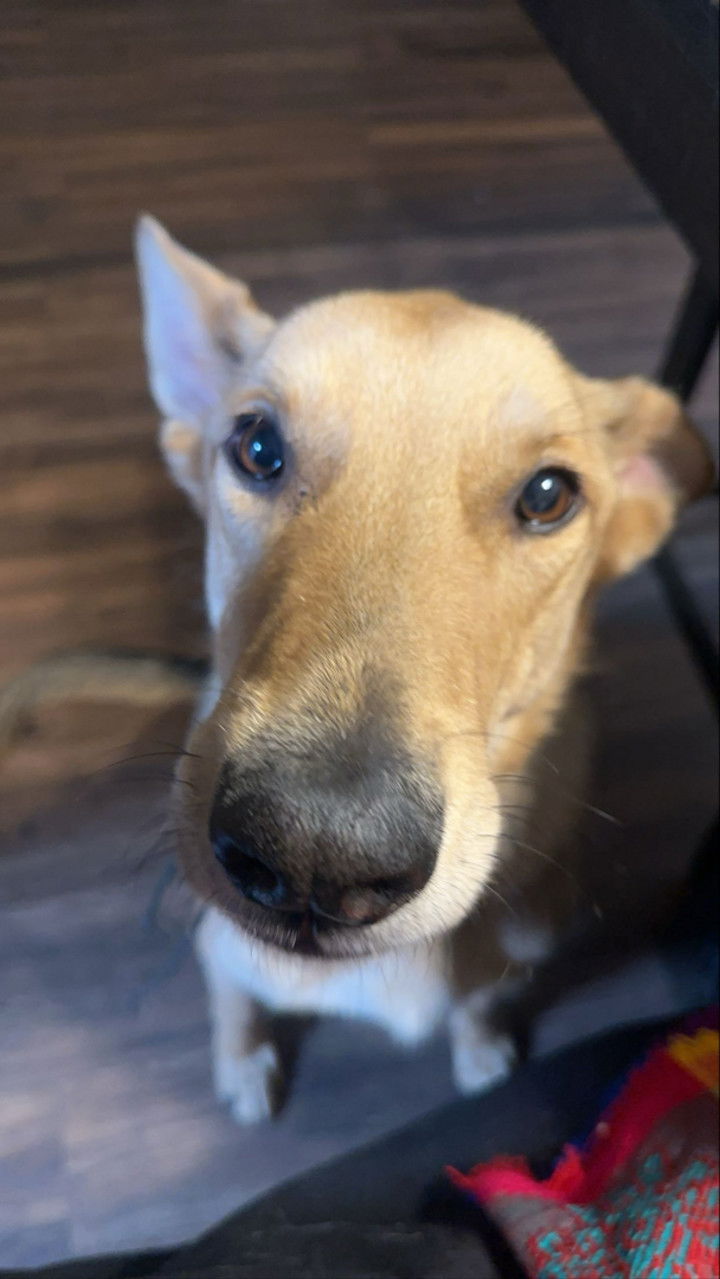 miahuffmann snapchat image archive image