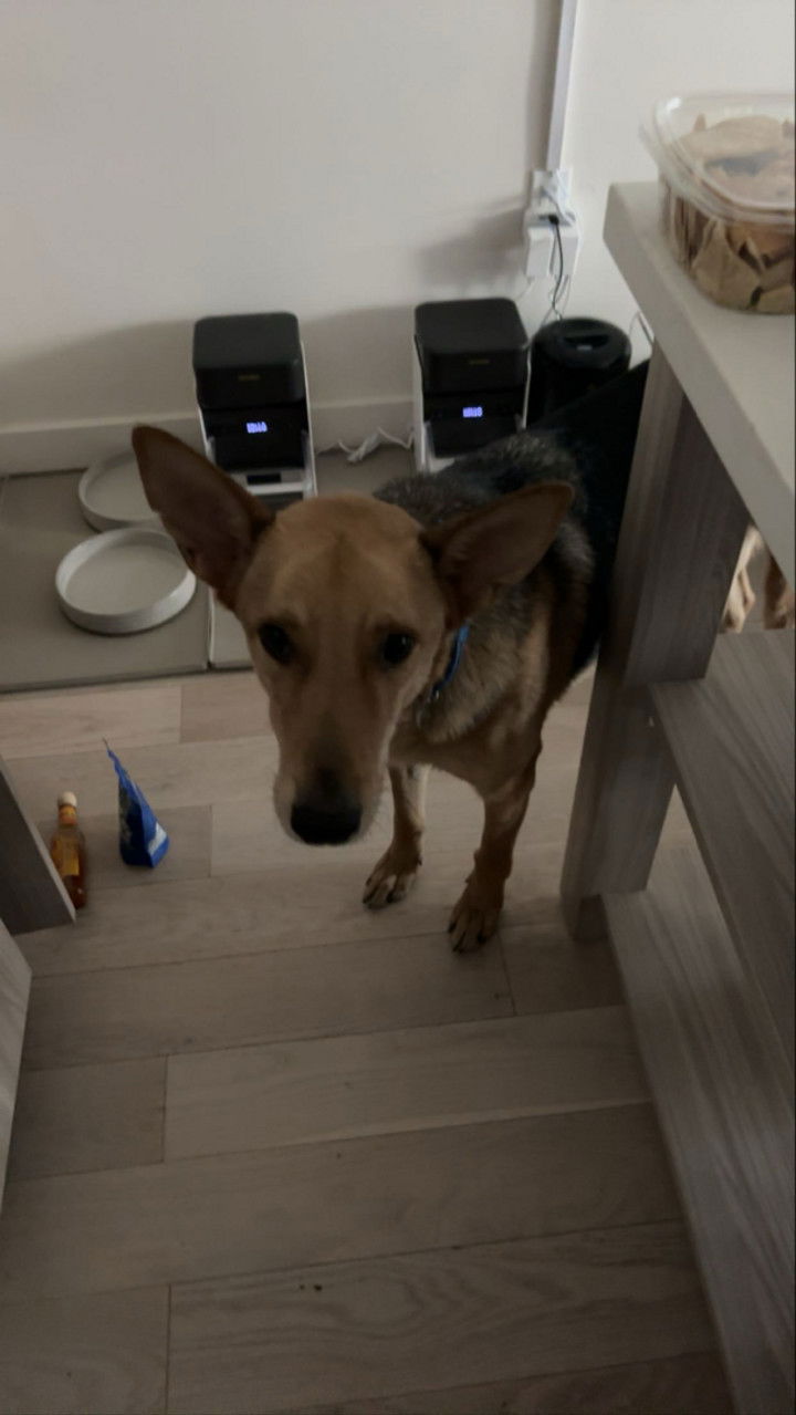 miahuffmann snapchat image archive image