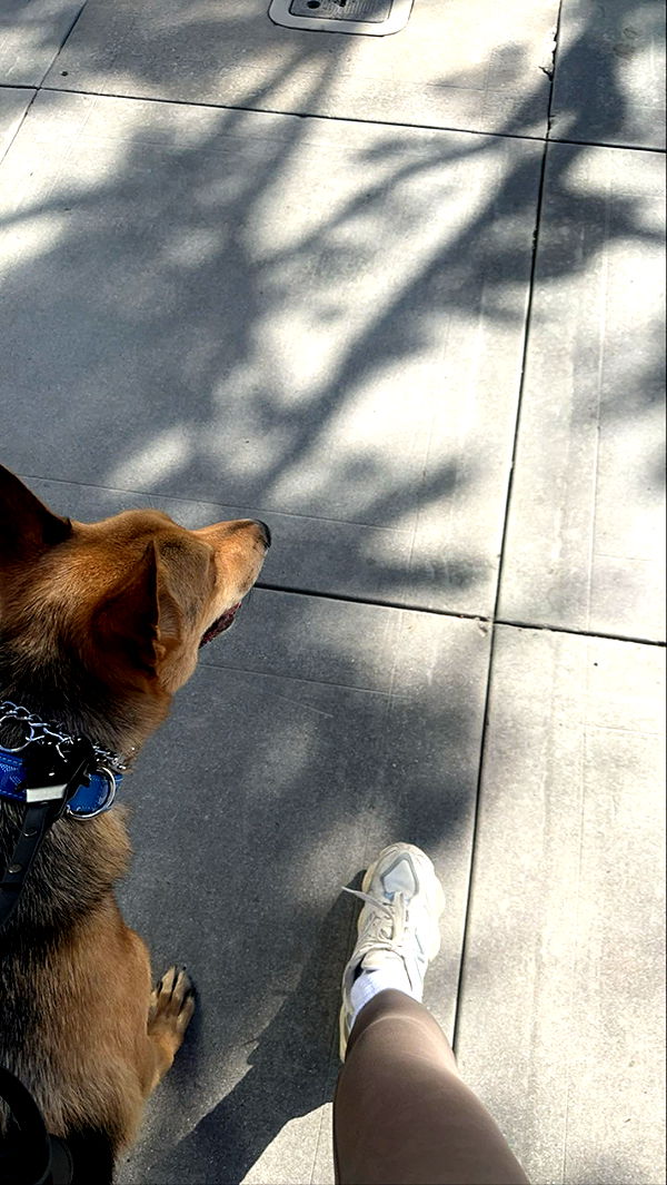 miahuffmann image ~ Altpins