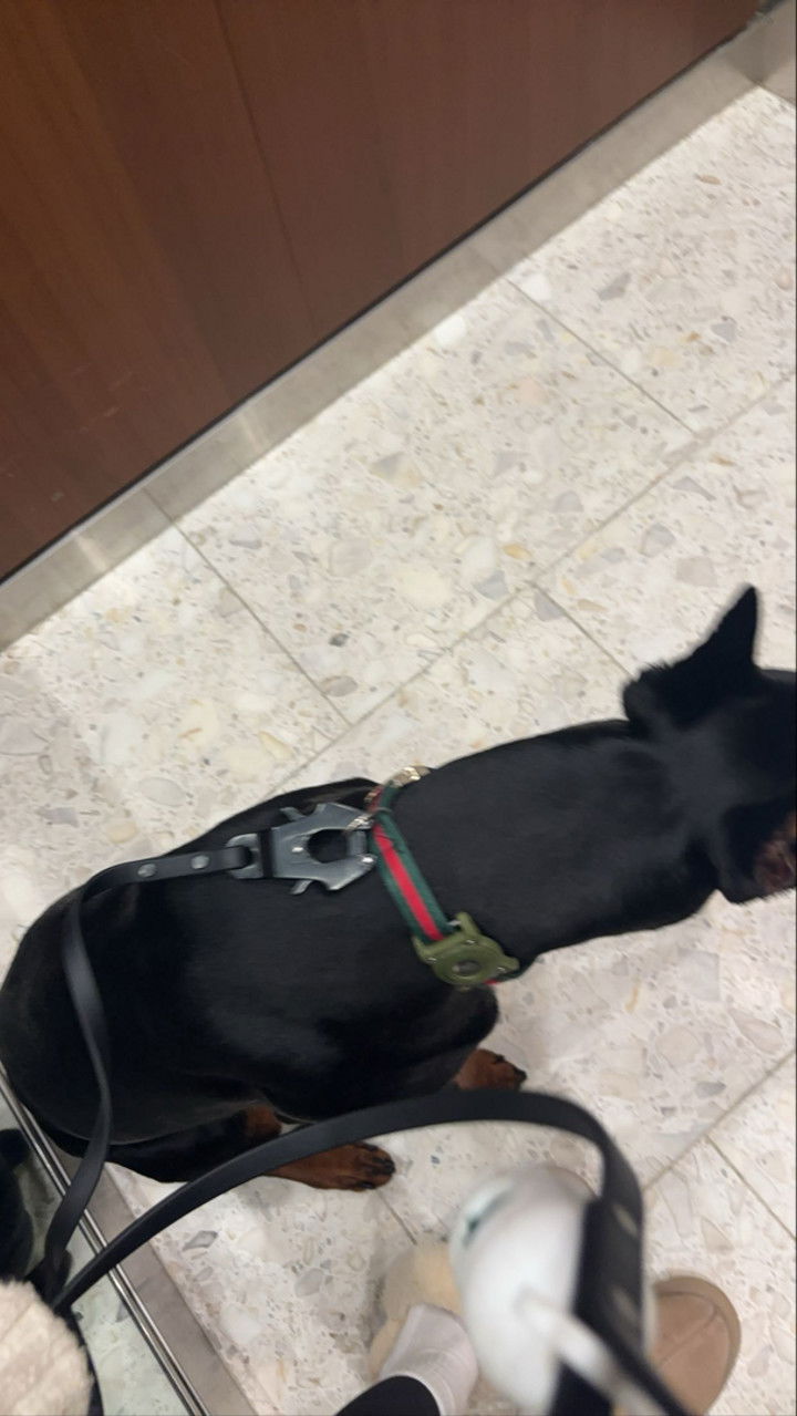 miahuffmann snapchat image archive image