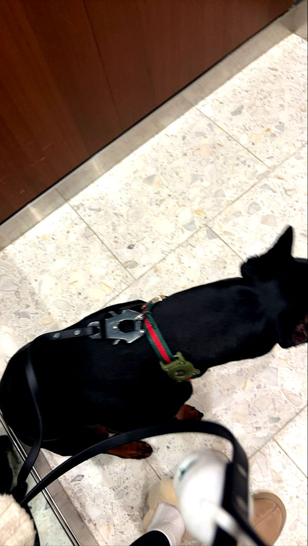 miahuffmann image ~ Altpins