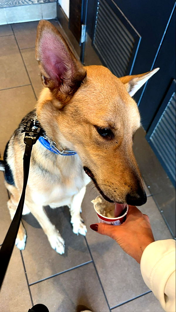 miahuffmann image ~ Altpins