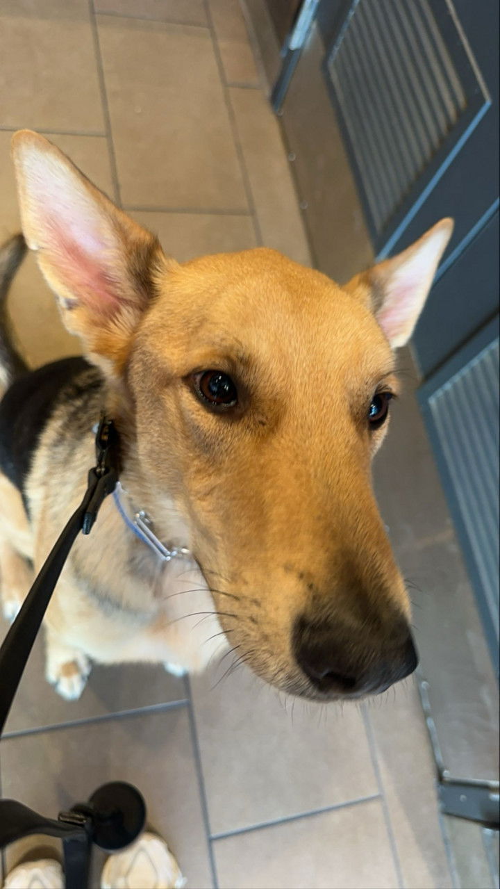 miahuffmann snapchat image archive image