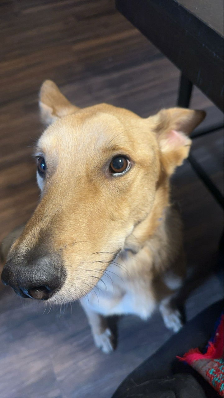 miahuffmann snapchat image archive image