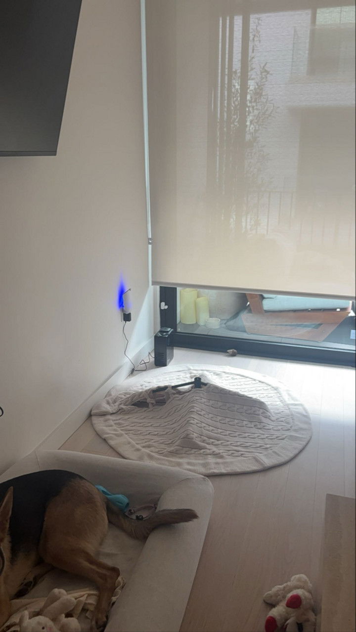 miahuffmann snapchat image archive image