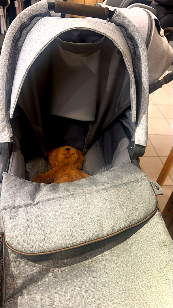 miahuffmann image ~ Altpins