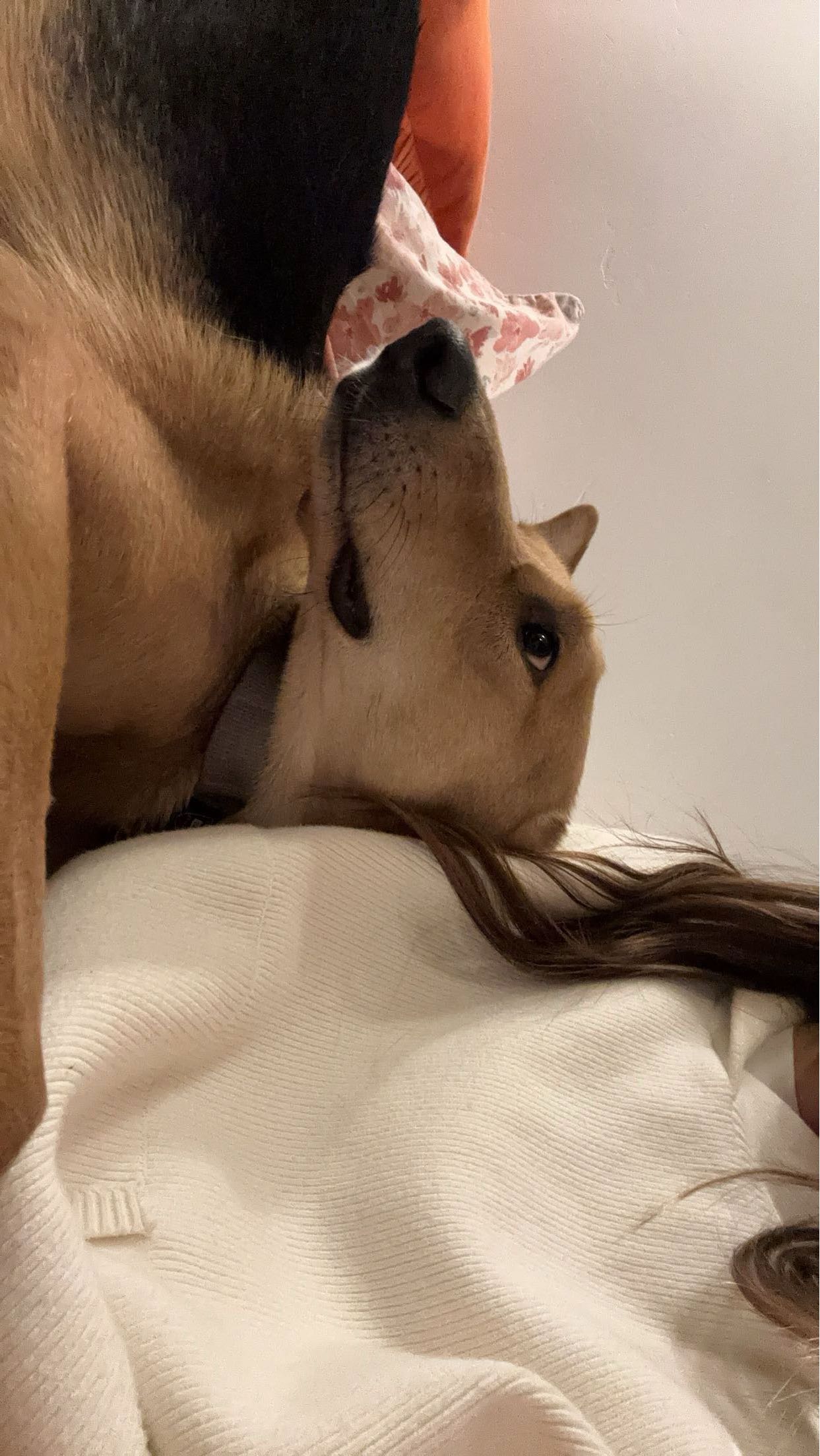 miahuffmann snapchat image archive image