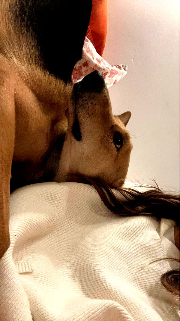 miahuffmann image ~ Altpins