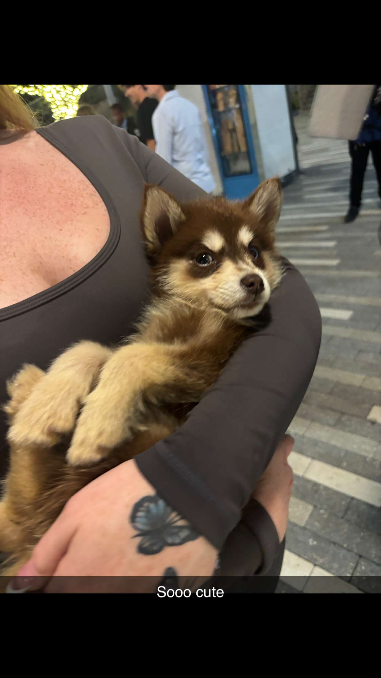 miahuffmann snapchat image archive image