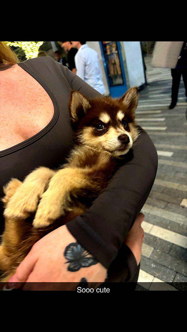 miahuffmann image ~ Altpins