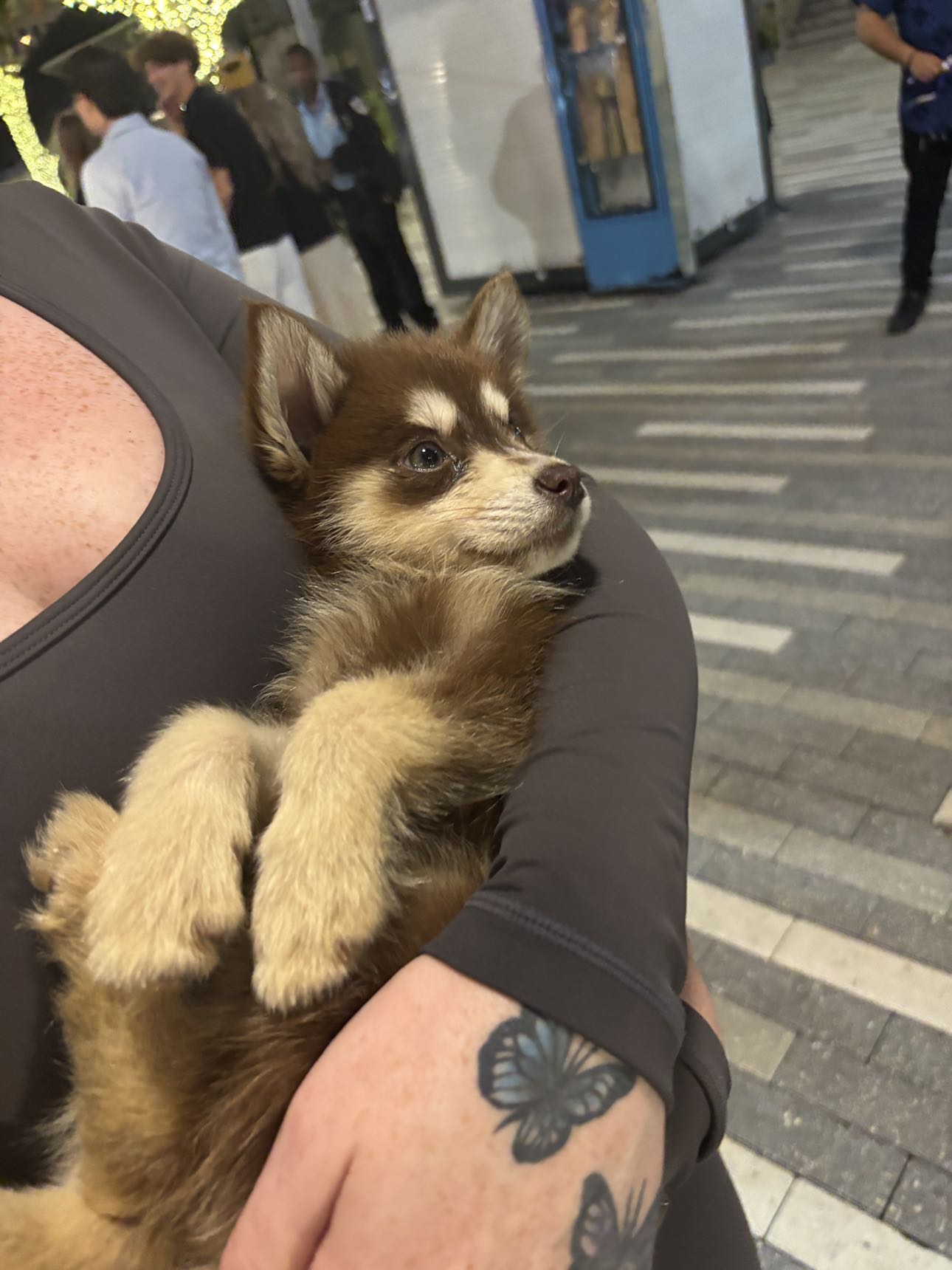 miahuffmann snapchat image archive image