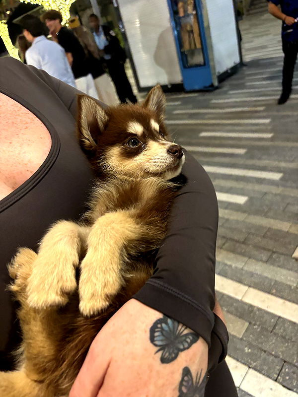 miahuffmann image ~ Altpins