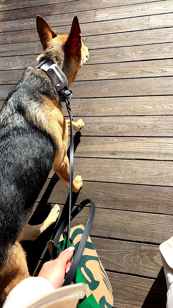 miahuffmann image ~ Altpins