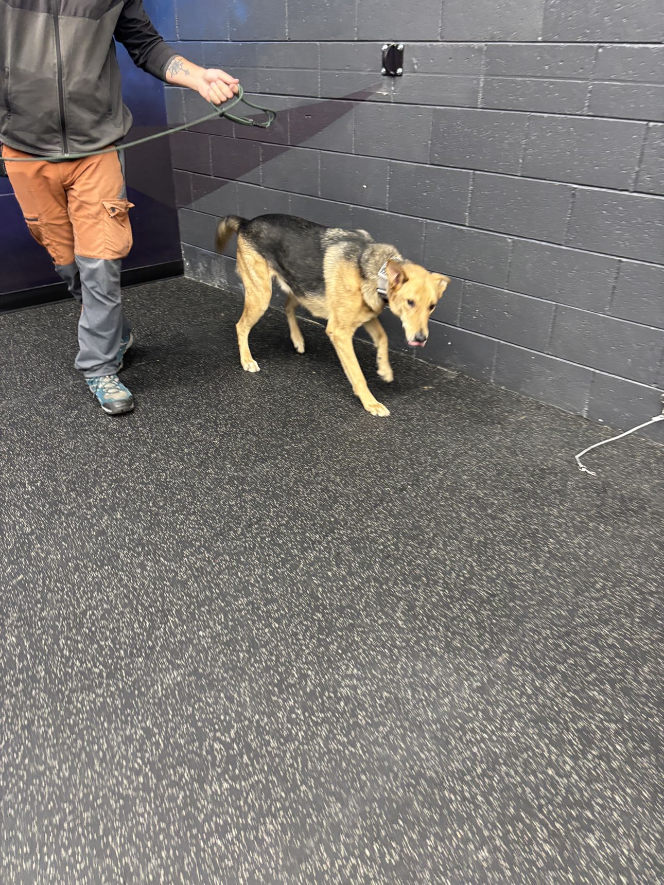 miahuffmann snapchat image archive image