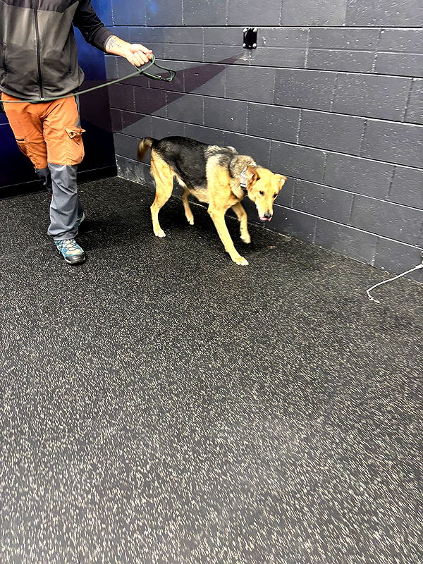 miahuffmann image ~ Altpins