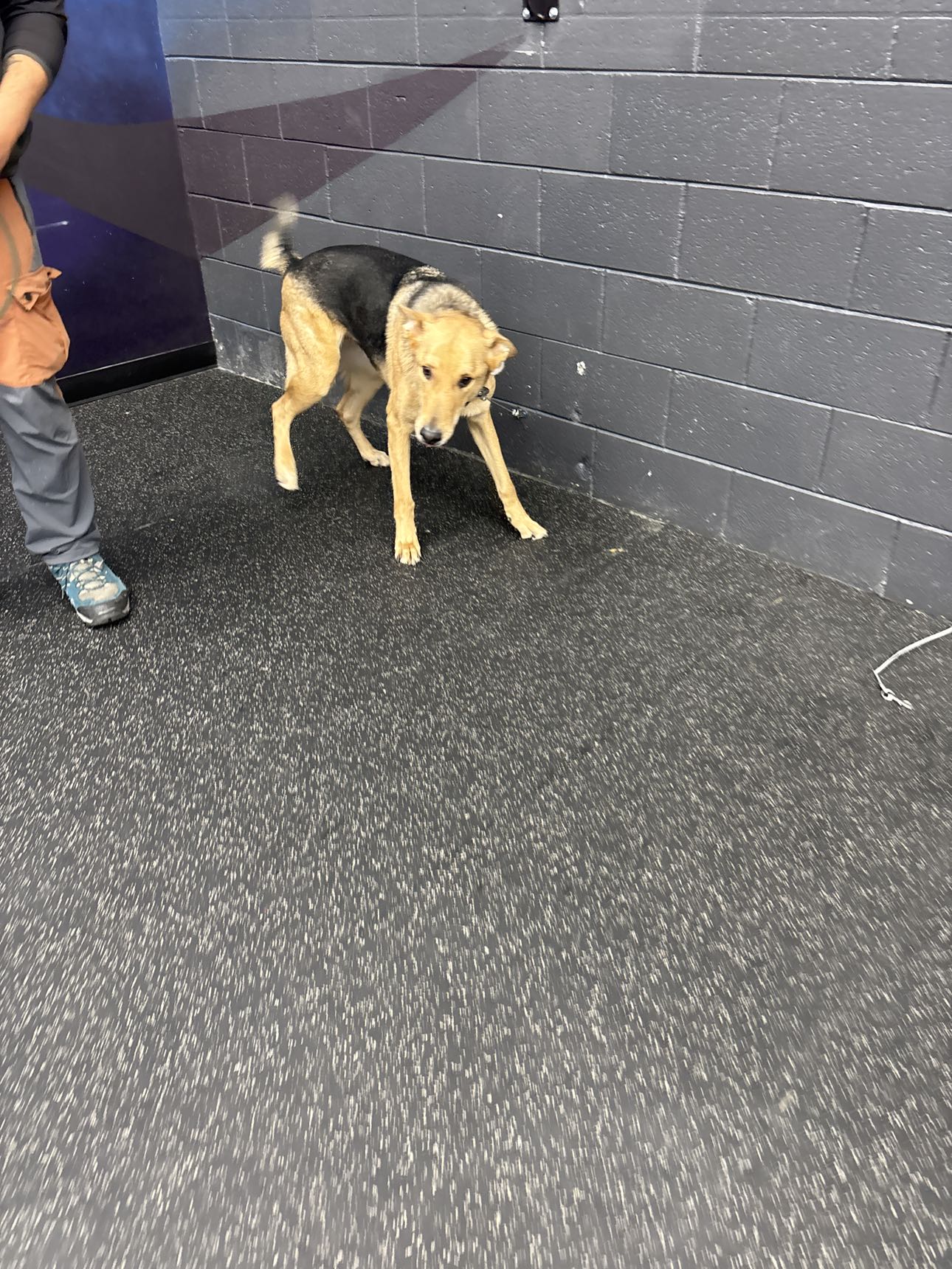 miahuffmann snapchat image archive image