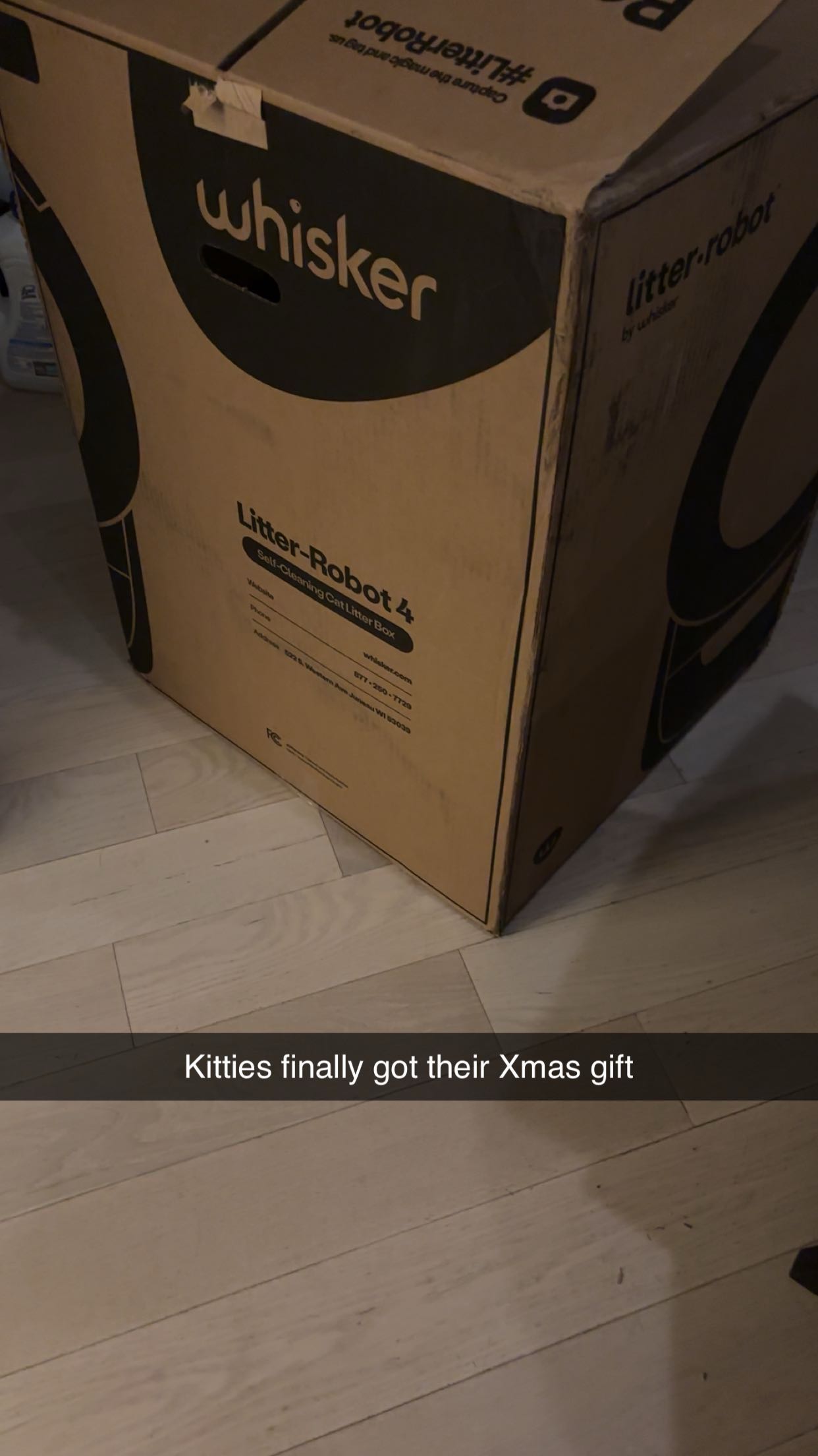 miahuffmann snapchat image archive image