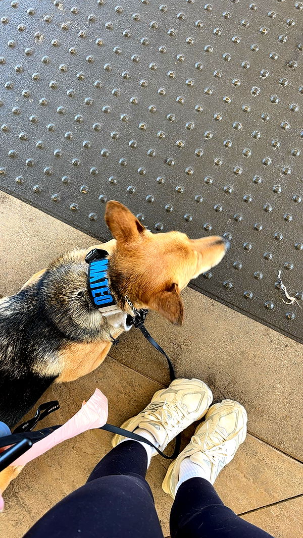 miahuffmann image ~ Altpins