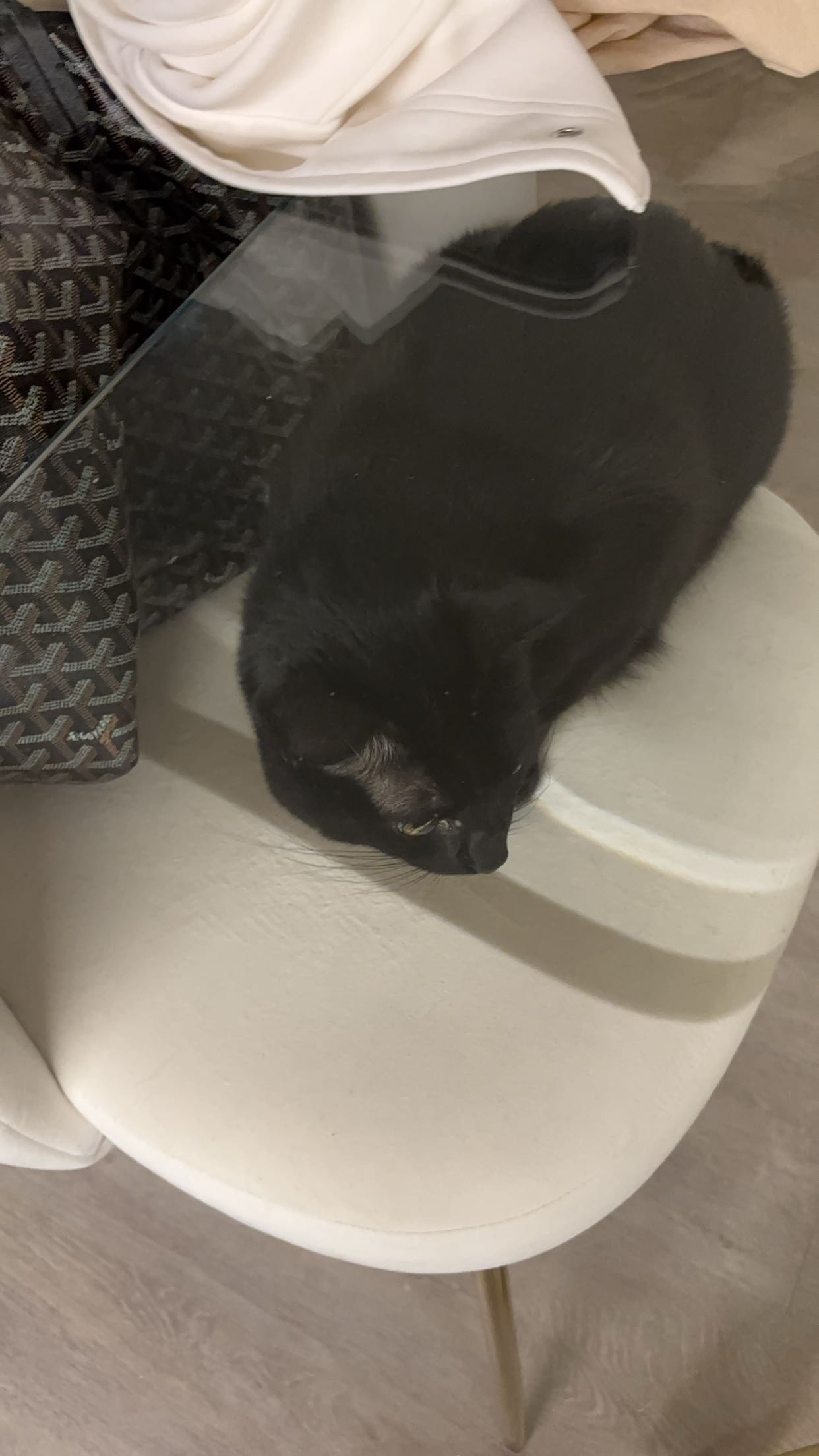 miahuffmann snapchat image archive image