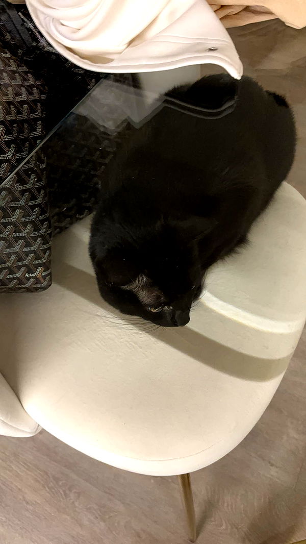 miahuffmann image ~ Altpins