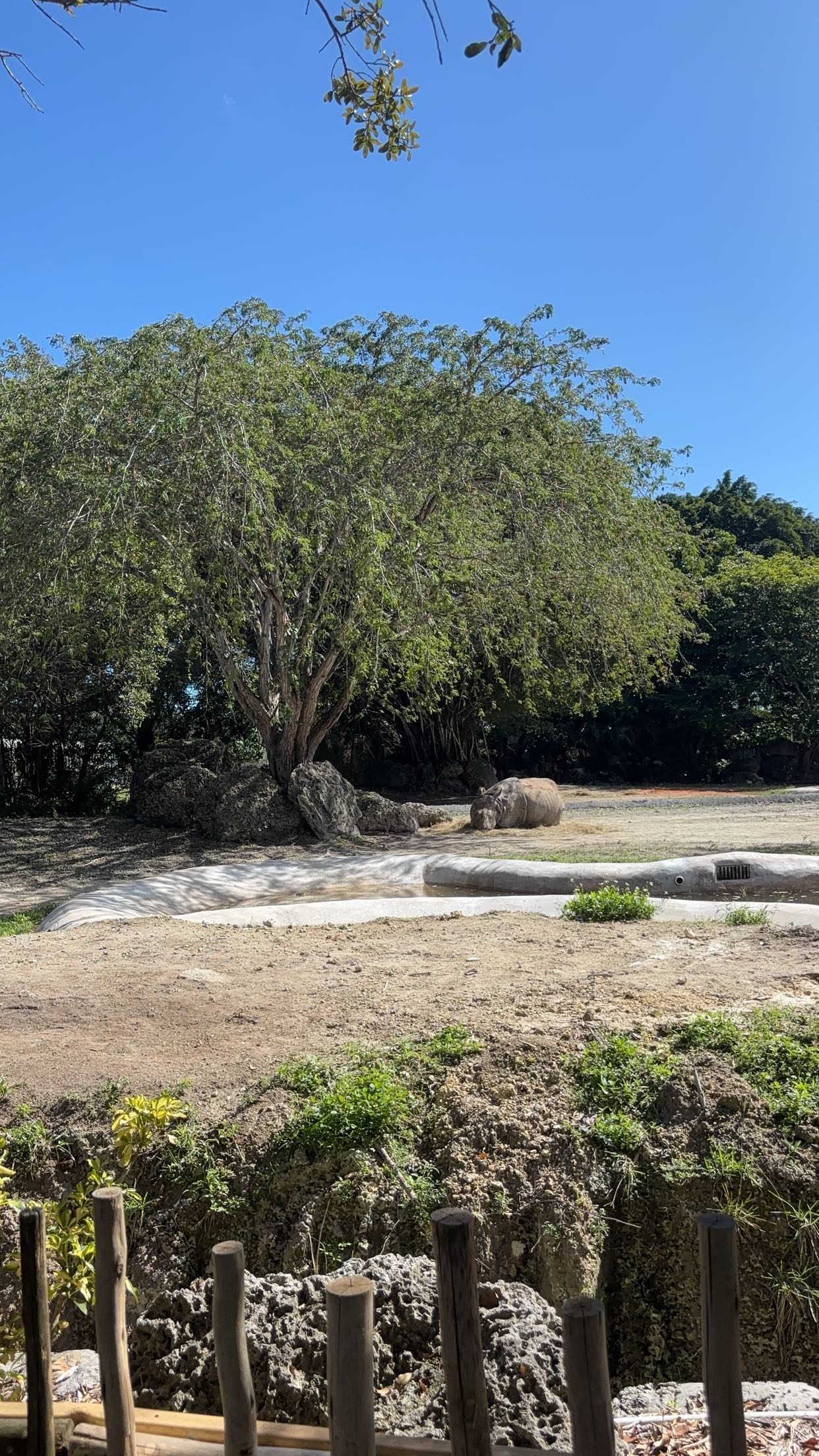 miahuffmann snapchat image archive image