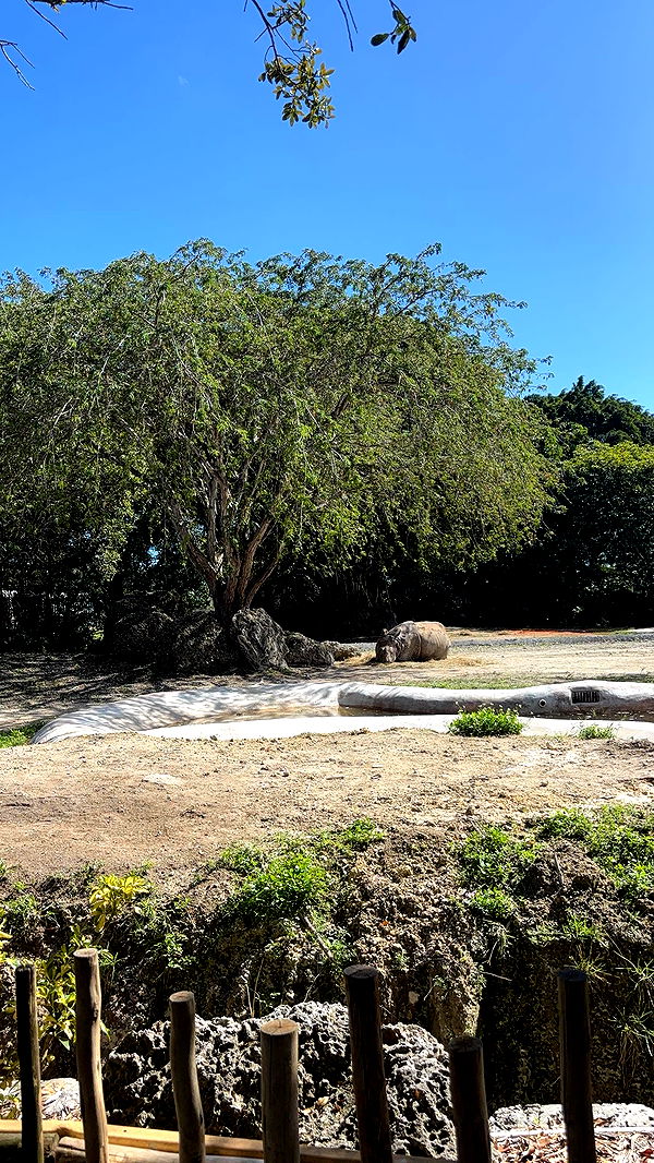 miahuffmann image ~ Altpins