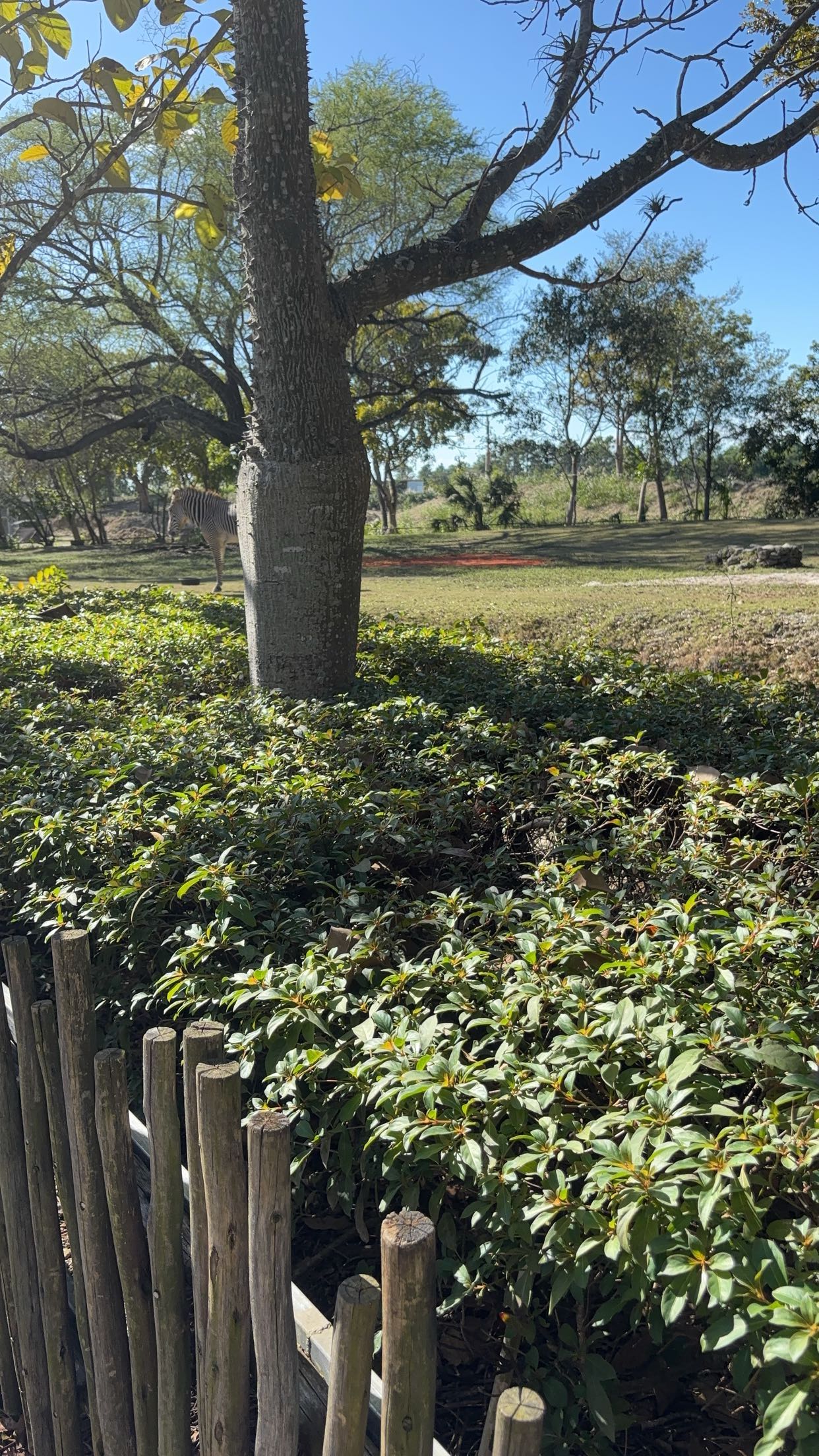 miahuffmann snapchat image archive image