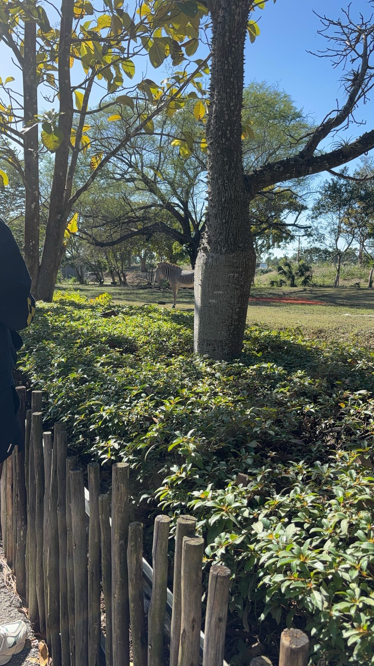 miahuffmann snapchat image archive image