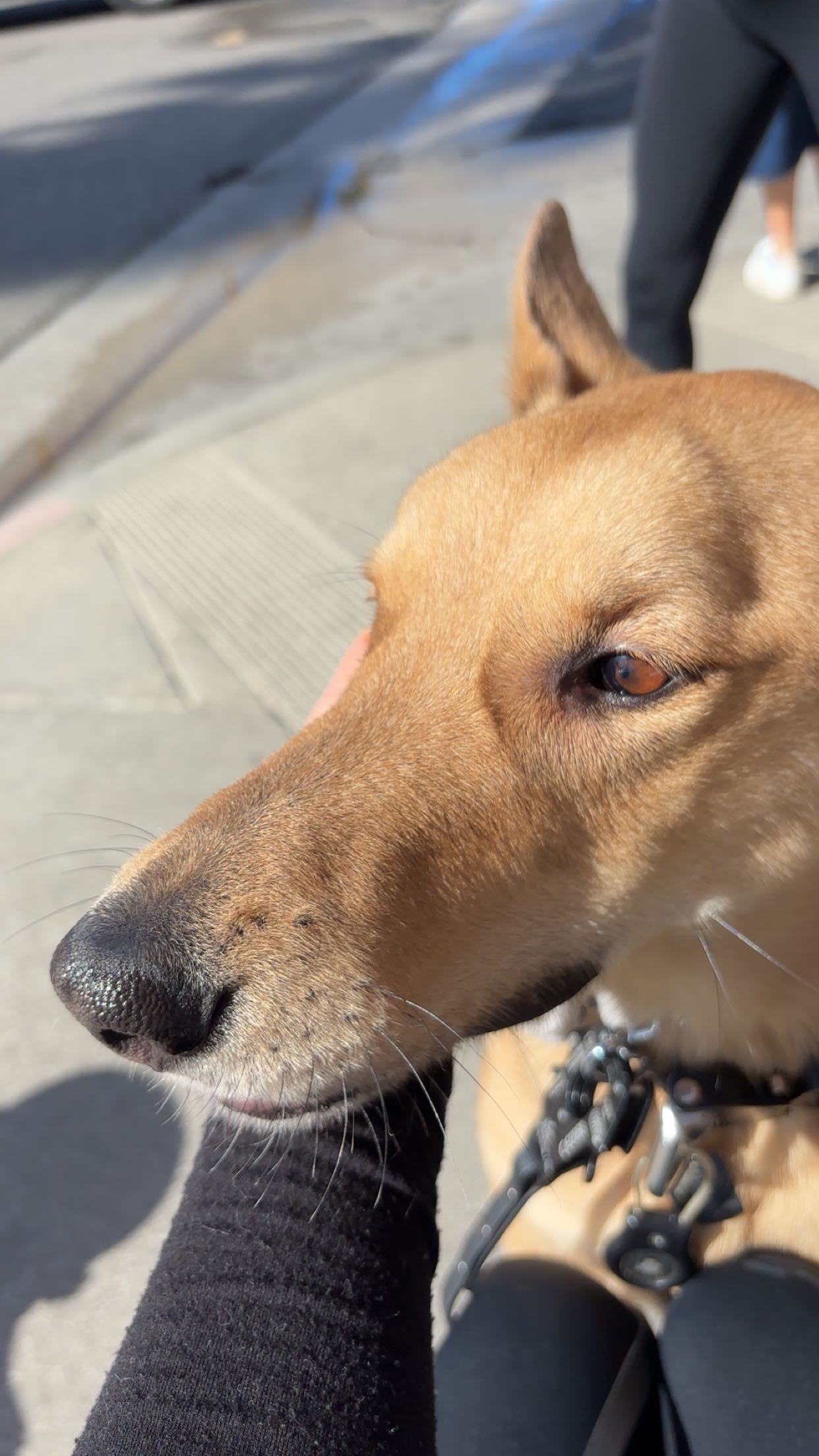 miahuffmann snapchat image archive image