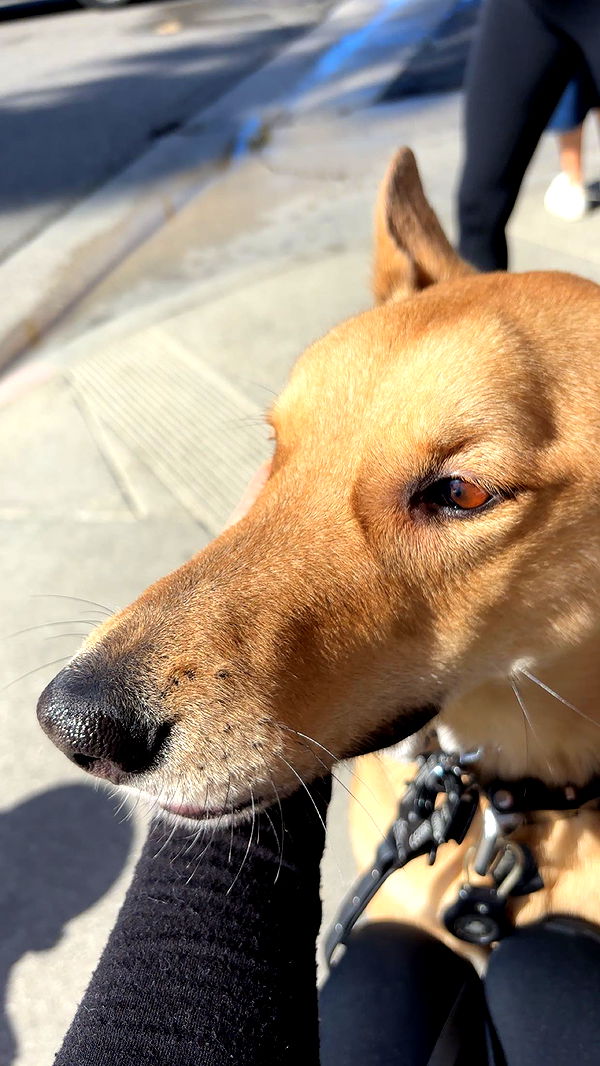 miahuffmann image ~ Altpins