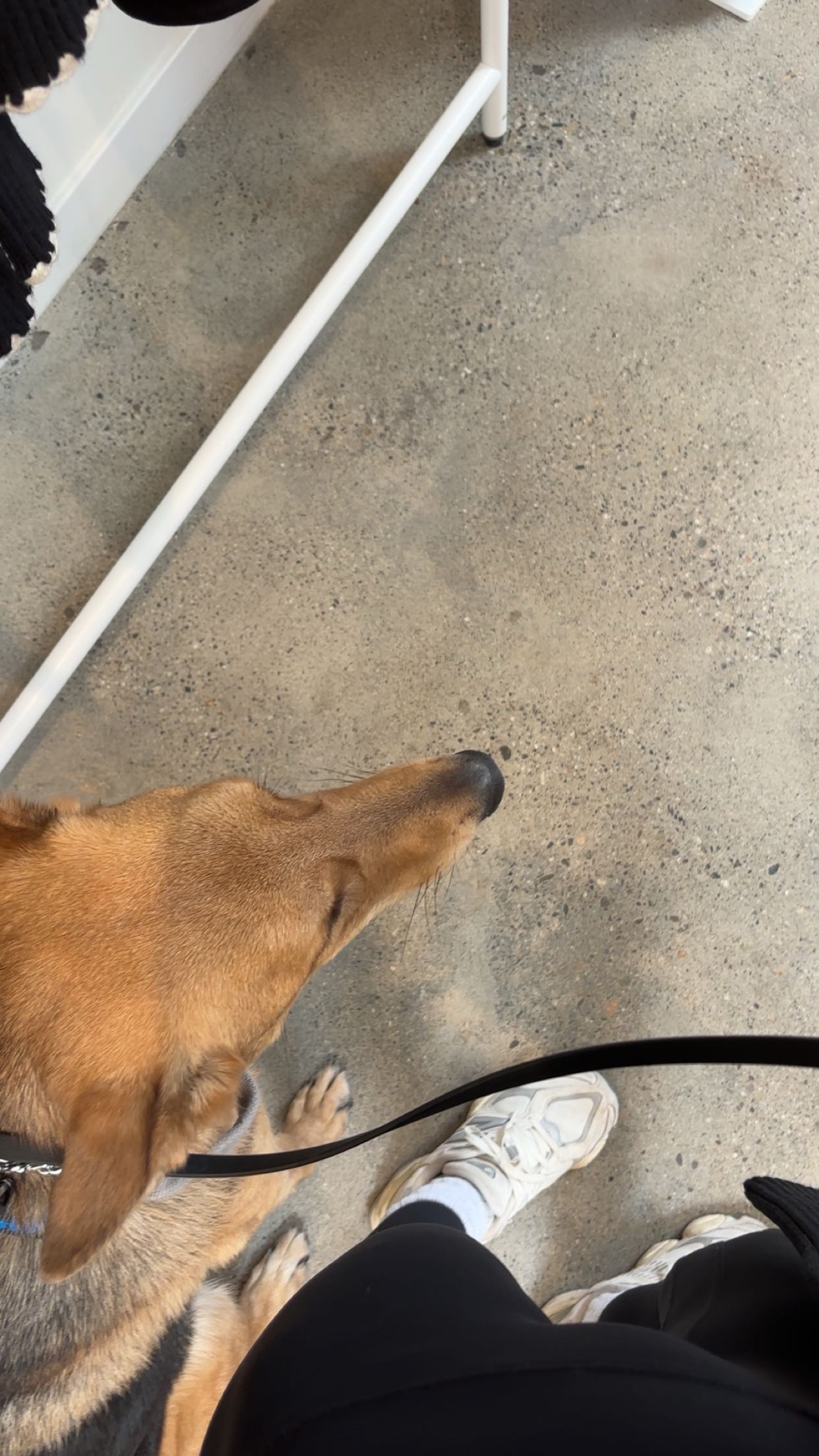 miahuffmann snapchat image archive image