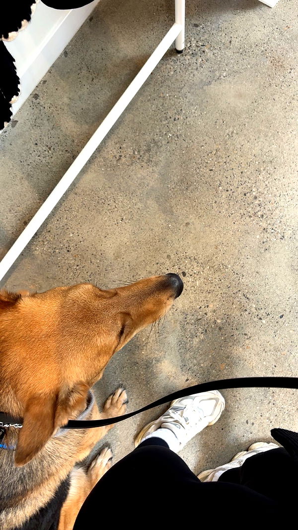 miahuffmann image ~ Altpins