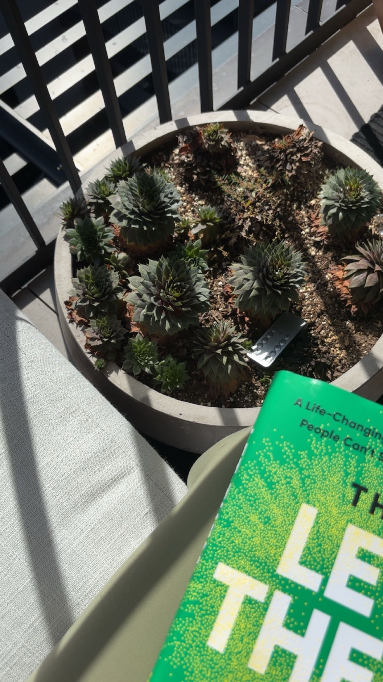 miahuffmann snapchat image archive image