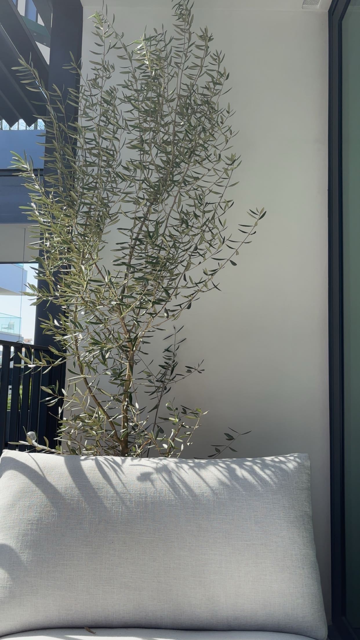 miahuffmann snapchat image archive image