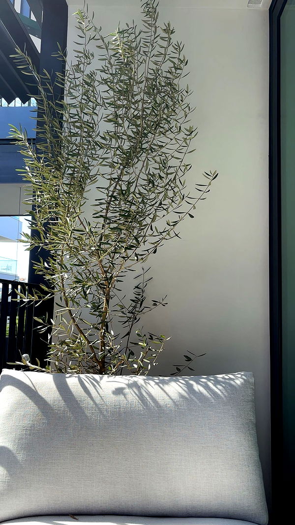 miahuffmann image ~ Altpins