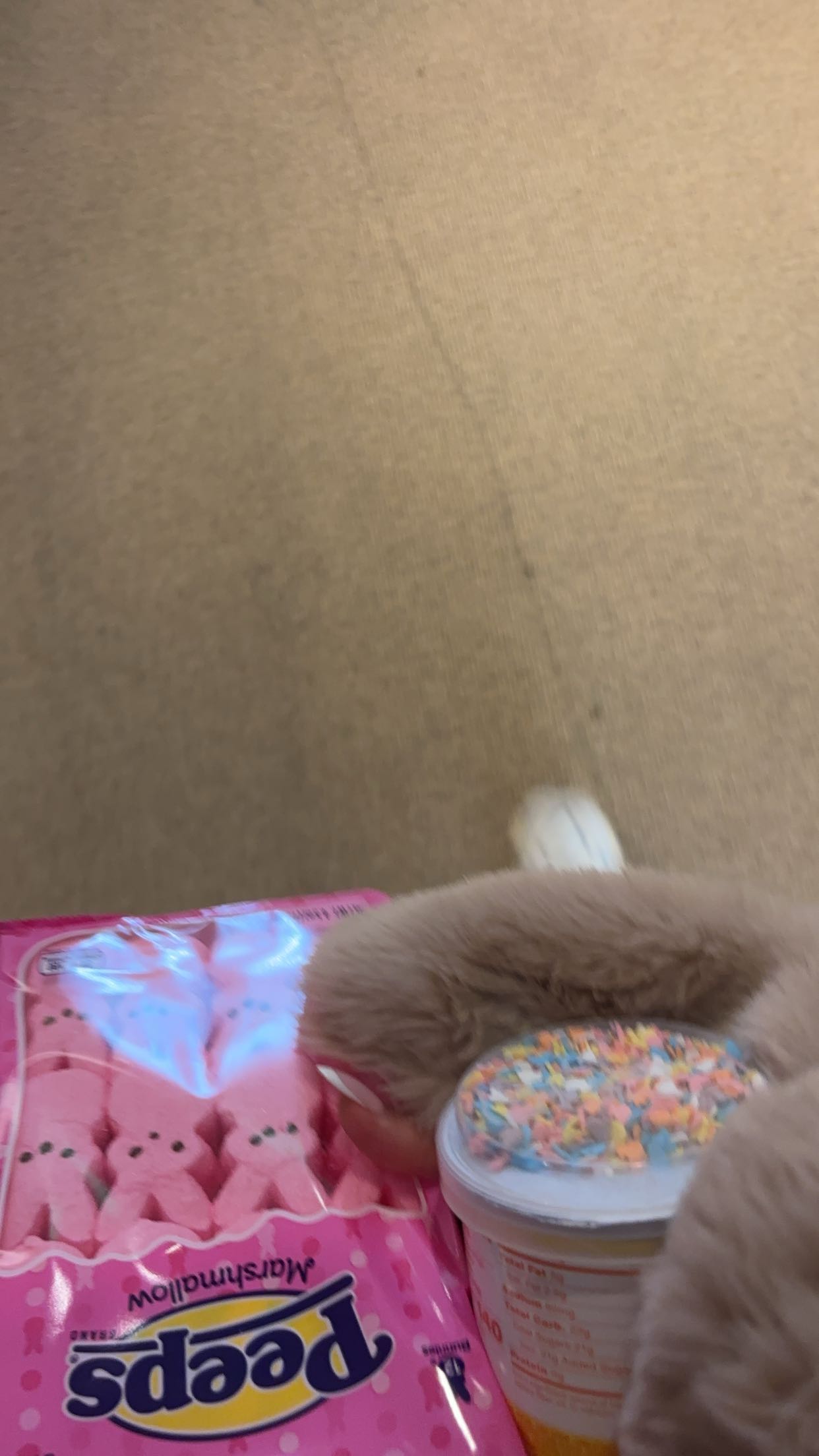 miahuffmann snapchat image archive image