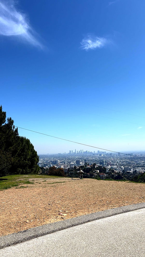 miahuffmann image ~ Altpins