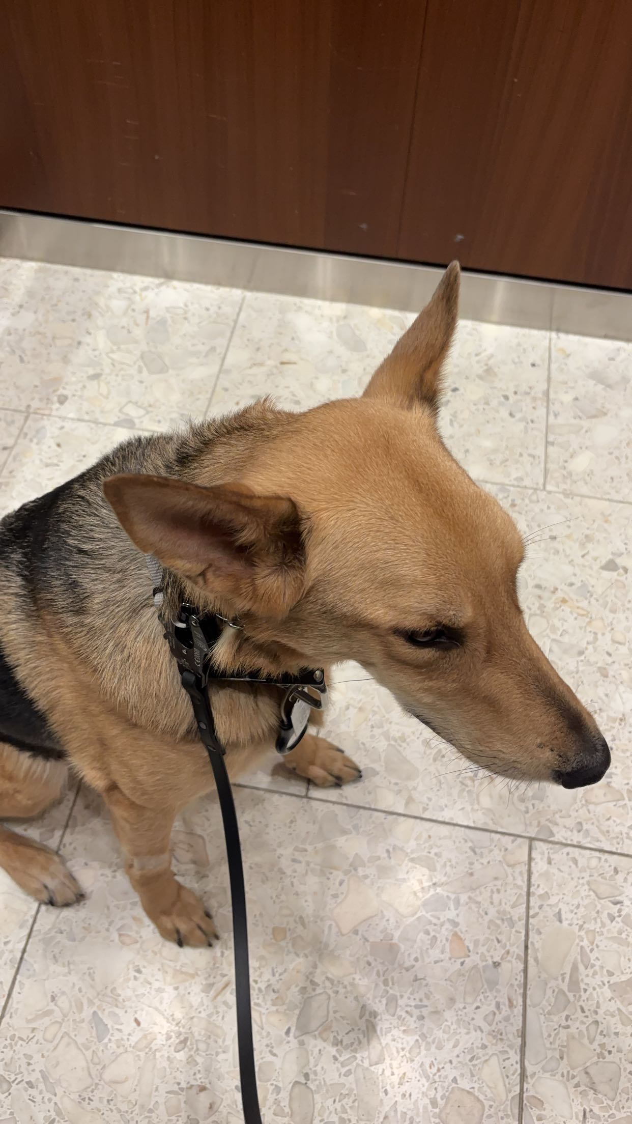 miahuffmann snapchat image archive image