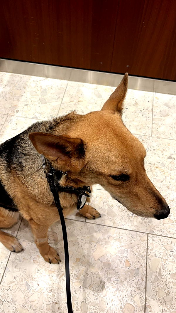 miahuffmann image ~ Altpins