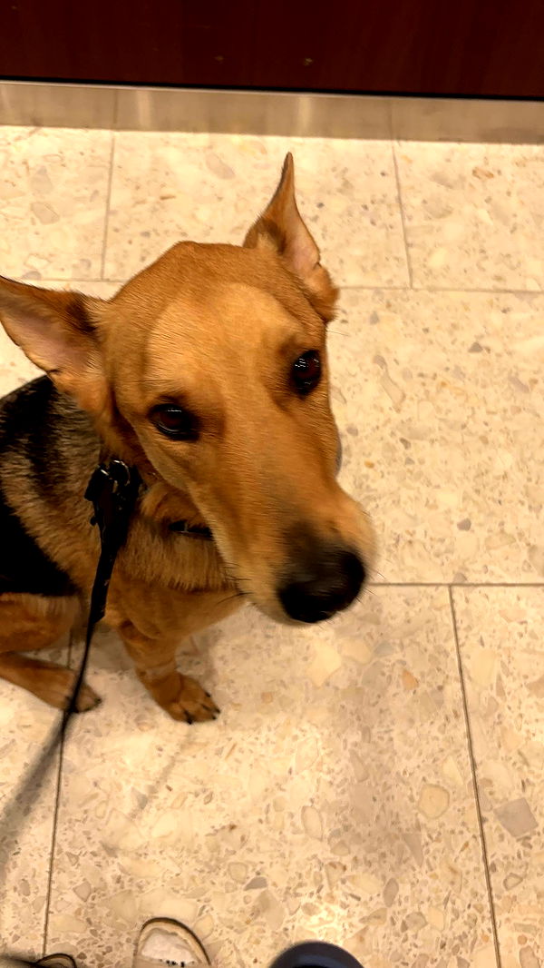 miahuffmann image ~ Altpins