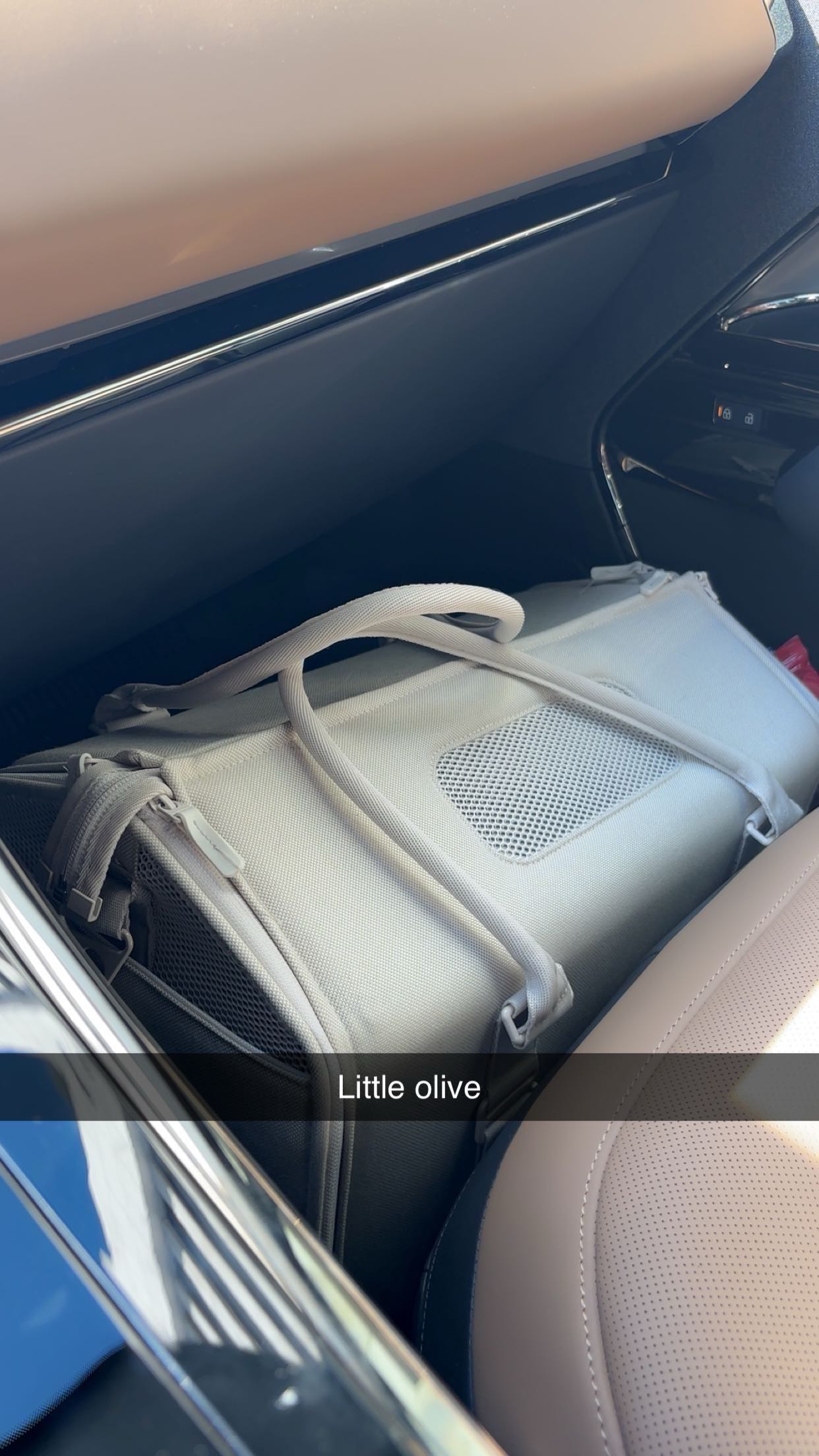 miahuffmann snapchat image archive image