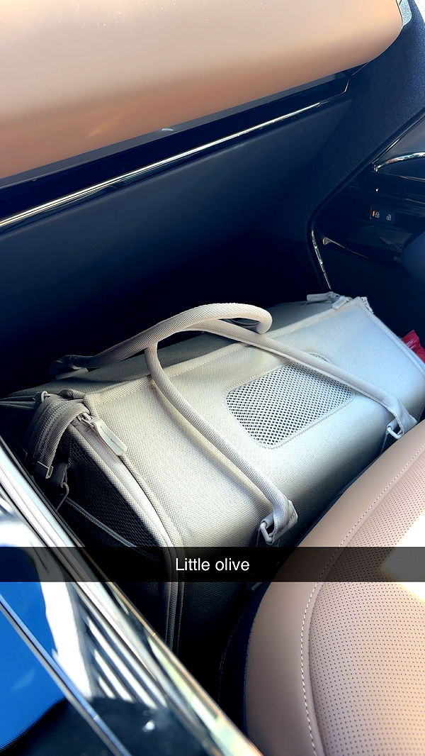 miahuffmann image ~ Altpins