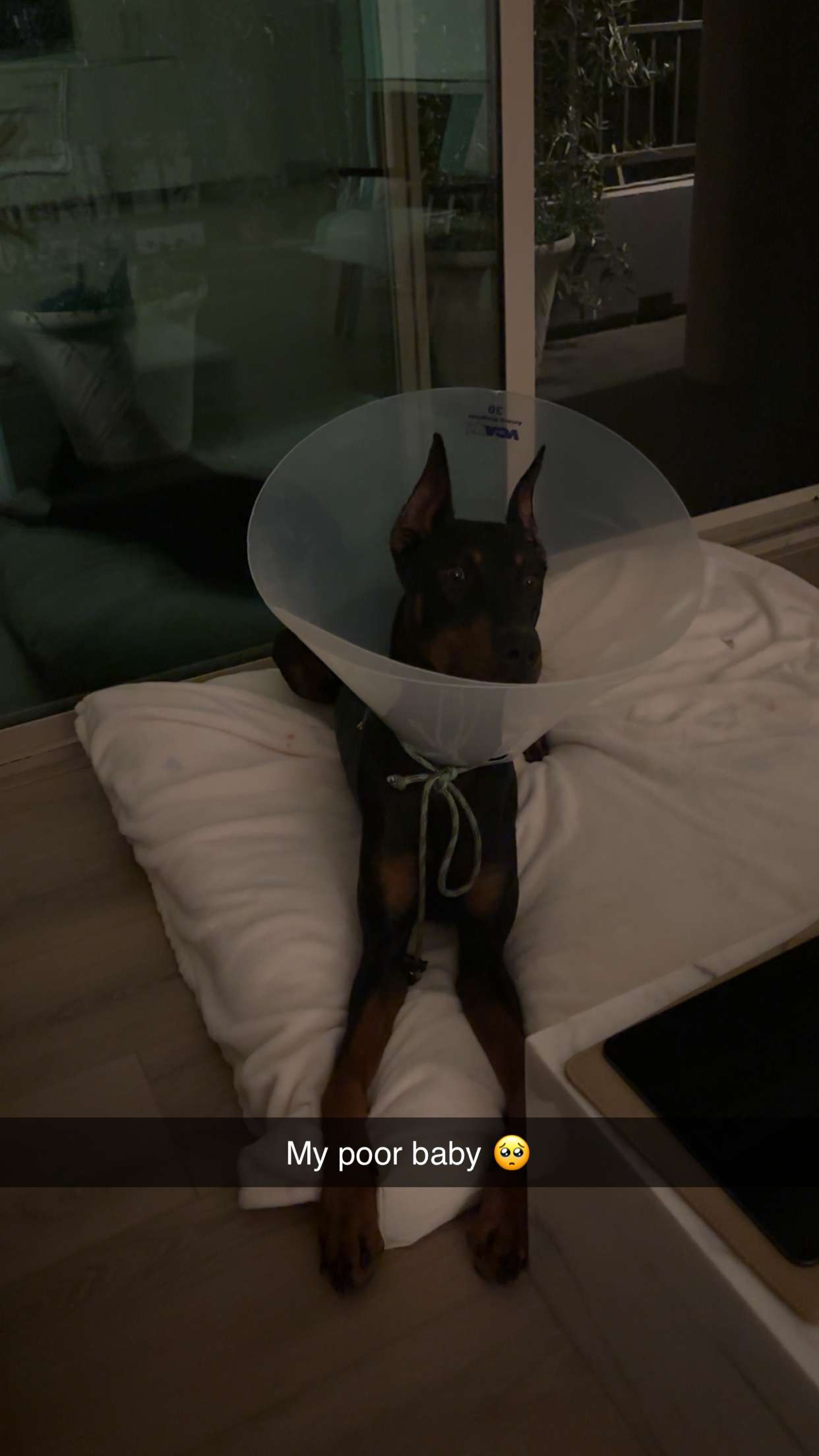 miahuffmann snapchat image archive image