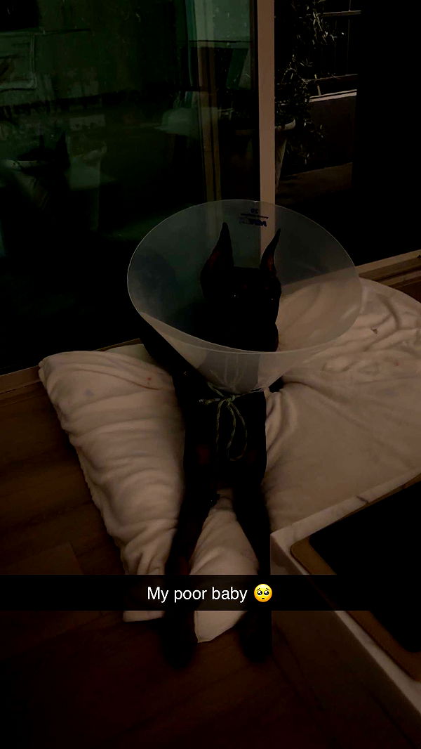 miahuffmann image ~ Altpins