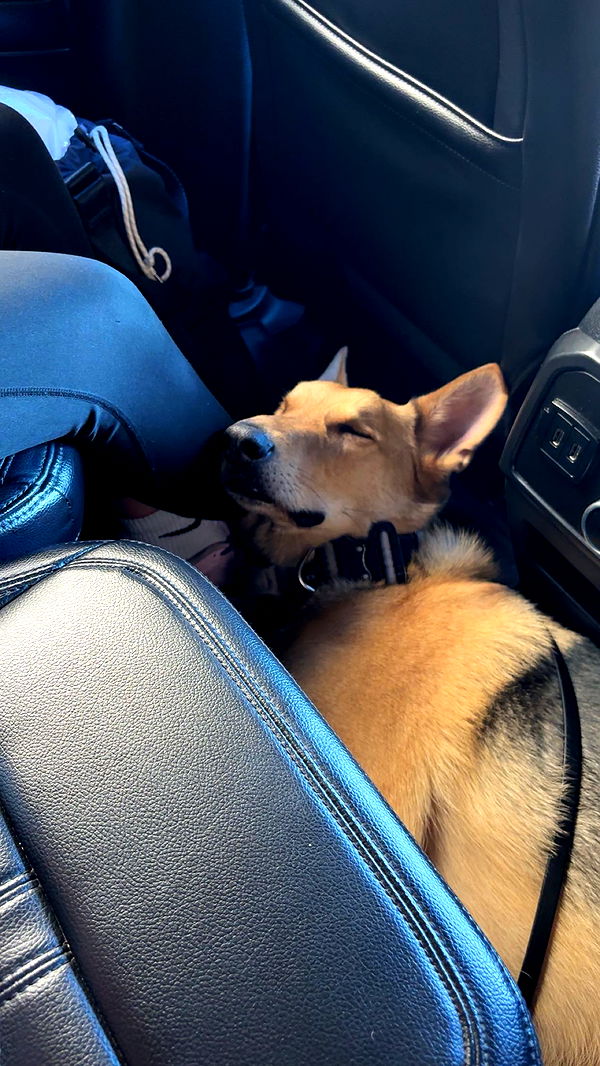 miahuffmann image ~ Altpins